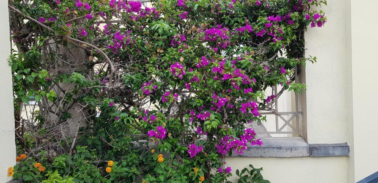 Atlantide Holiday Apartments Castellammare di Stabia Exterior foto